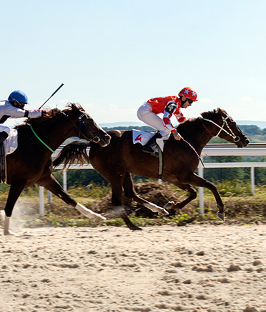 Rome’s Capannelle racecourse